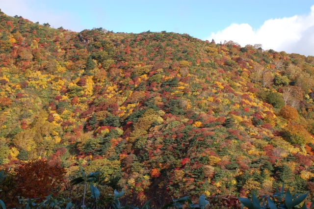 Autumn colors at Mt. Tetsuzan