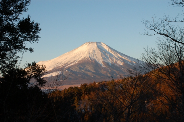 Mt. Fuji which is stained with the morning sun.