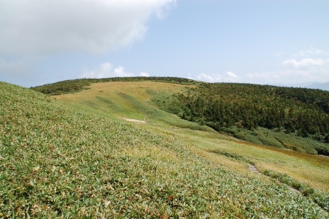 The mountain trail toward Tamagoishi