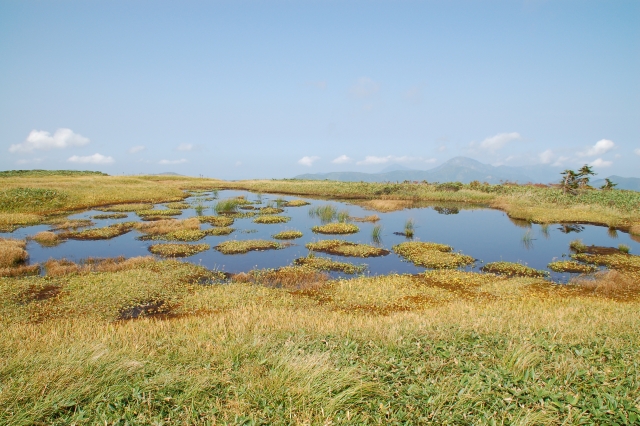 Marshland of the mountaintop of Mt. Hiragatake