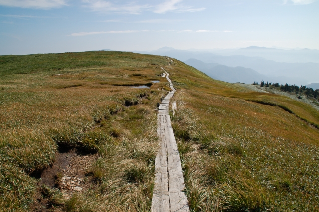 The mountain trail toward Mt. Ushigatake.