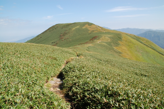 The mountain trail toward Mt. Ushigatake