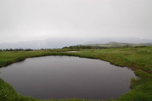 Marshland of the mountaintop of Mt. Naeba