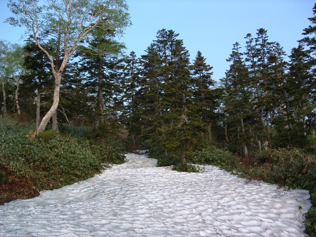 The remaining snow of the mountain trail.