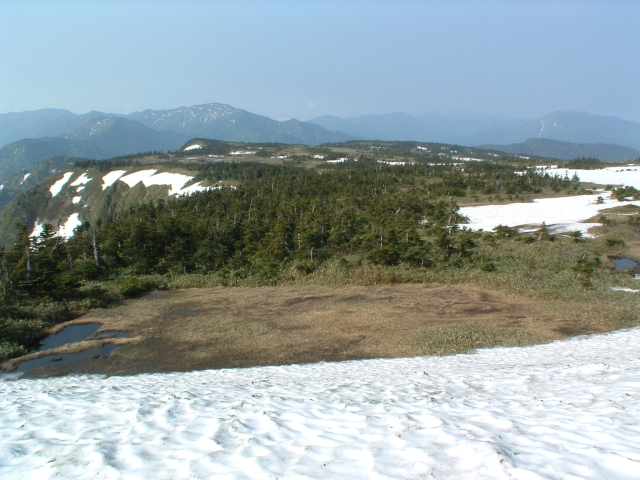 The marshland of the mountaintop of Mt. Naeba.
