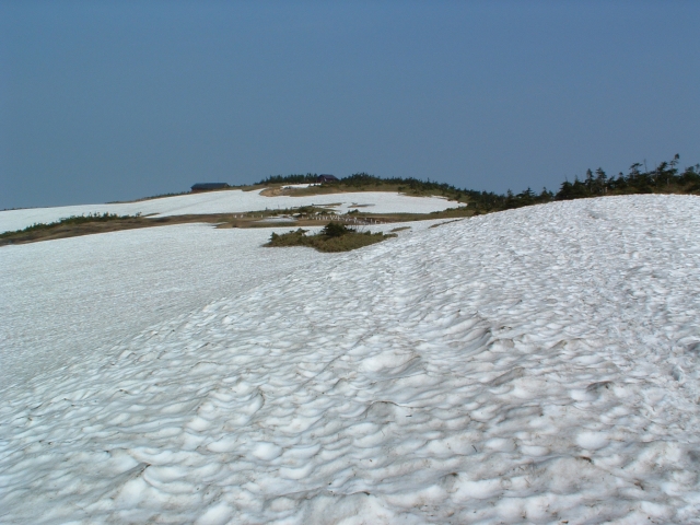 The marhsland is wrapped up by remaining snow.
