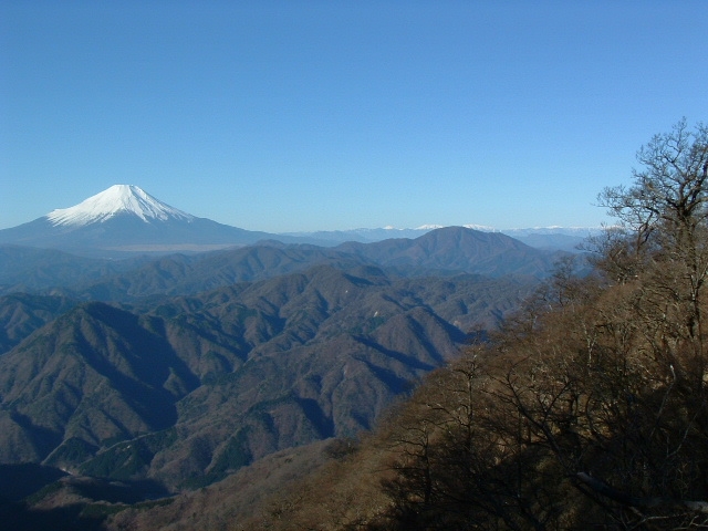 Mt. Fuji and South Alps
