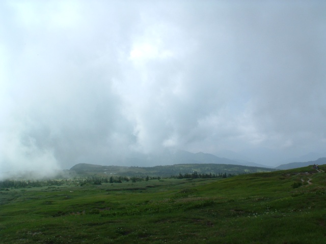 Mt. Naeba where breeds in a cloud.