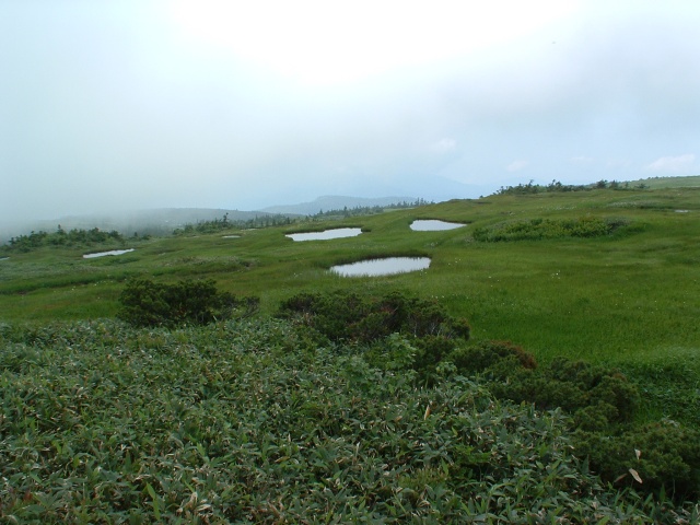 The marshland of the mountaintop of Mt. Naeba.